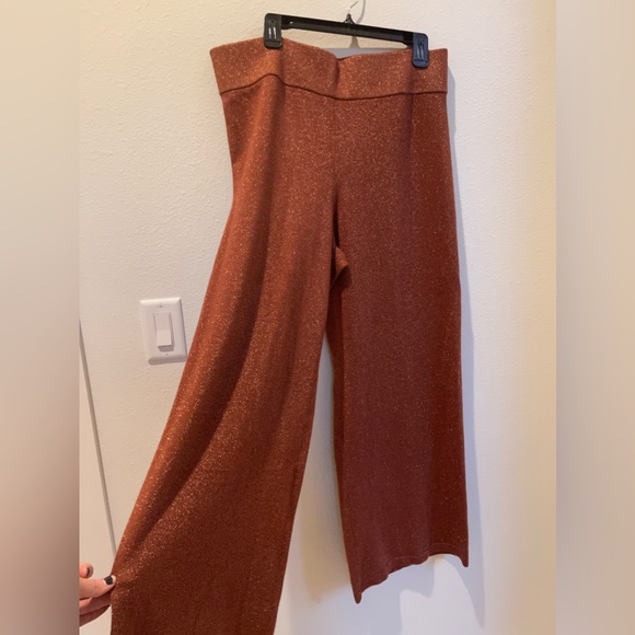 Anthropology Sparkle Pants - Picture 2 of 5